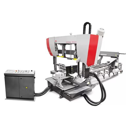 Individual 620.460 DGANC